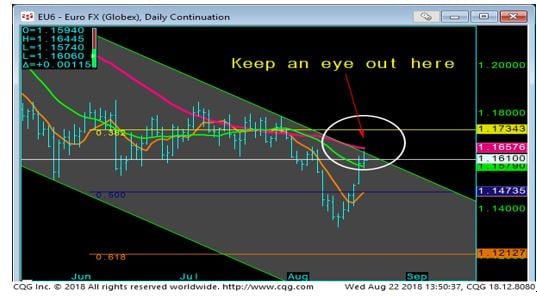 Euro FX Daily Chart