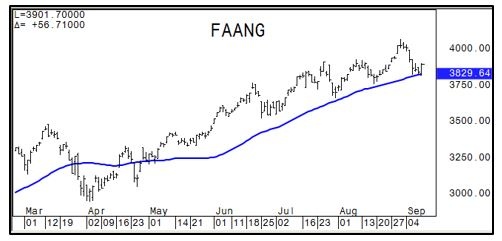 FAANG Chart